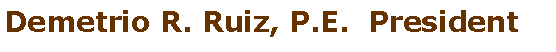 Text Box: Demetrio R. Ruiz, P.E.  President